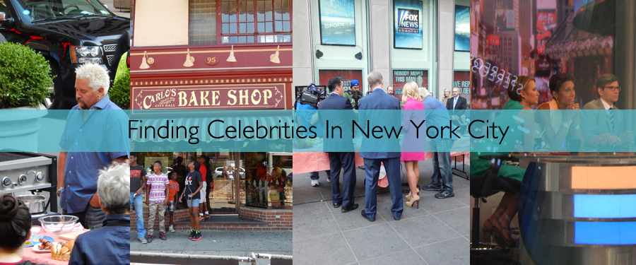 NYC01 - Celebrity Hunting